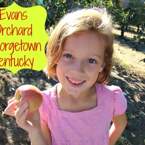 Apple Pickin' at Evans Orchard in Georgetown, Kentucky