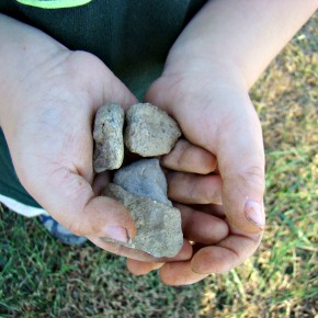 Rock Collecting ~ Sam Style