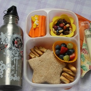 Lunch Packing Ideas