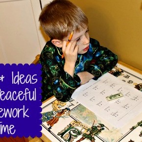 Tips & Ideas for Peaceful Homework Time