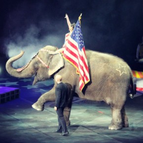 A Night at the Ringling Brothers and Barnum & Bailey’s Built to Amaze Circus