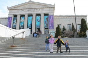 Shedd Aquarium in Chicago