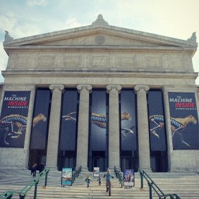 Chicago: Field Museum of Natural History