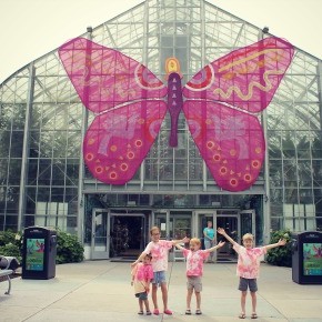 Eden Park & the Krohn Conservatory Butterfly Show