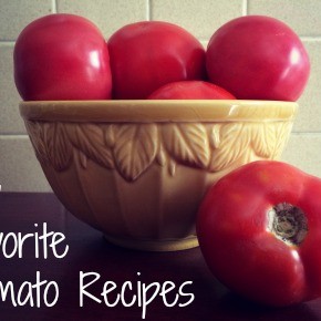 My Favorite Tomato Recipes