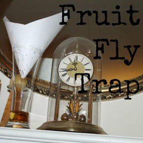 How to Make a Fruit Fly Trap