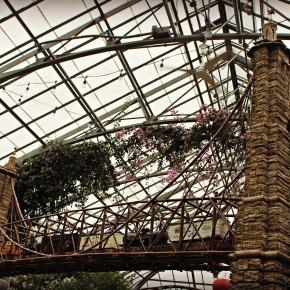 Krohn Conservatory's Magic & Mistletoe {GIVEAWAY}