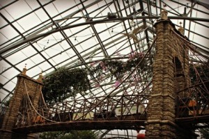 Krohn Conservatory Holiday Show  Magic & Mistletoe