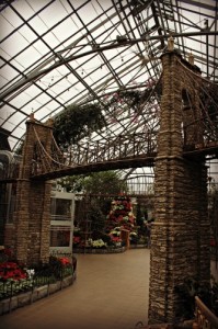 Krohn Conservatory Suspension Bridge