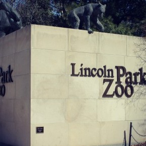 Chicago :: Lincoln Park Zoo