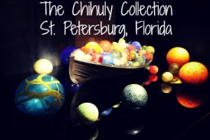 The Chihuly Collection in St. Petersburg, Florida