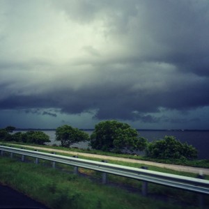 Clearwater Rain