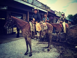 Old West Festival Horses