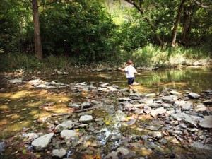 Wolsing Trails Preserve