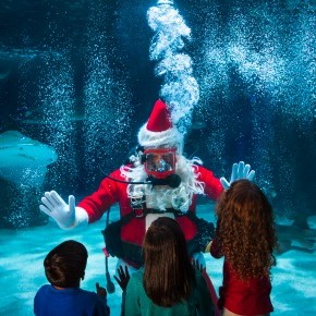 Water Wonderland with Scuba Santa at the Newport Aquarium