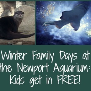 Winter Family Days at the Newport Aquarium: Free Admission for Kids!