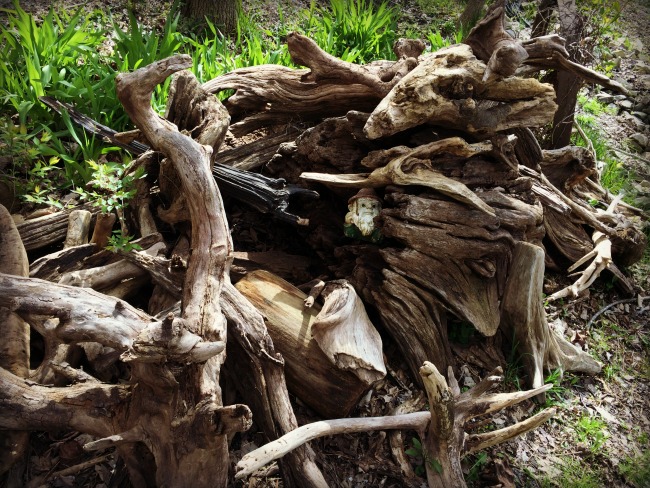 Rabbit Hash Driftwood