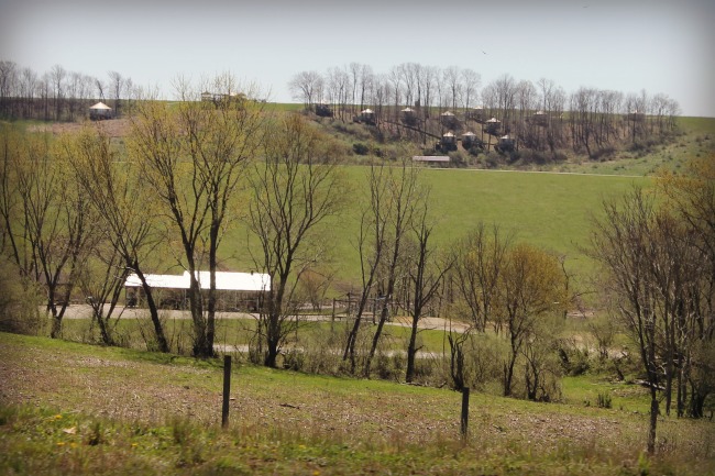 The Wilds Yurts