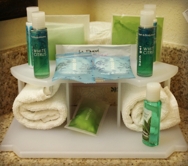 Zanesville Holiday Inn Express Toiletries