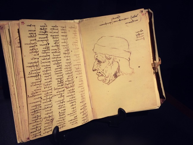 daVinci book