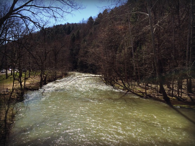 Mohican State Park Clear Fork Branch of the Mohican River