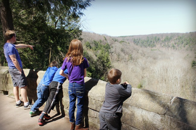 Mohican State Park Overlook