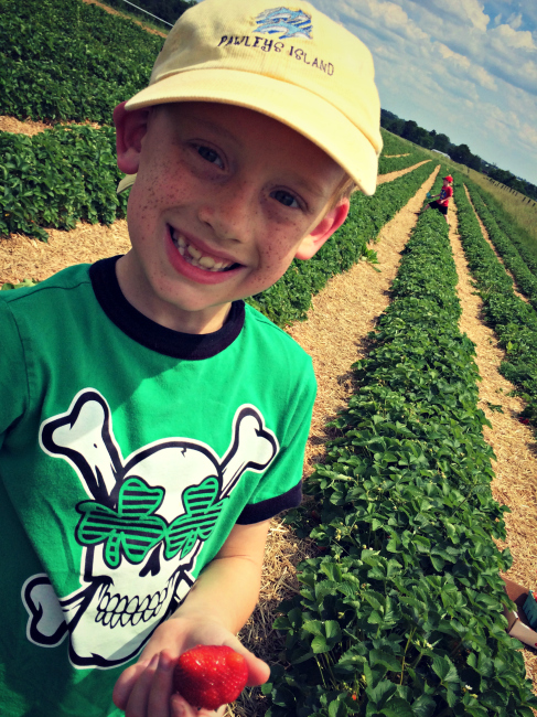 Strawberry Picking 2016 Sam