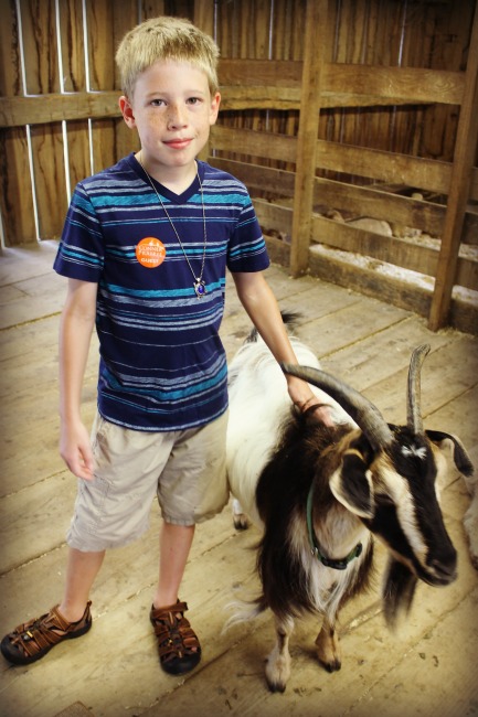 Conner Prairie Goat