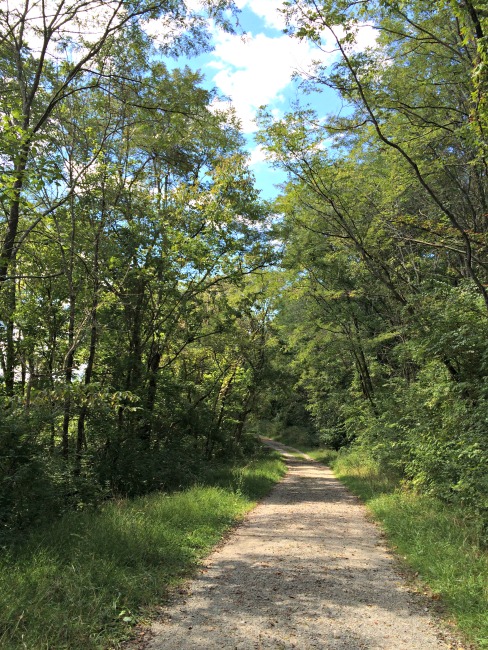 Doe Run Lake Trail