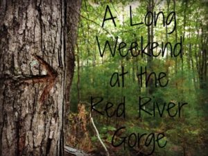 a-long-weekend-at-the-red-river-gorge