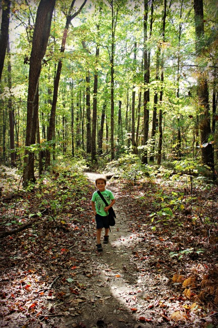 red-river-gorge-henry-hiking