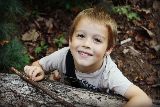 red-river-gorge-henry-log