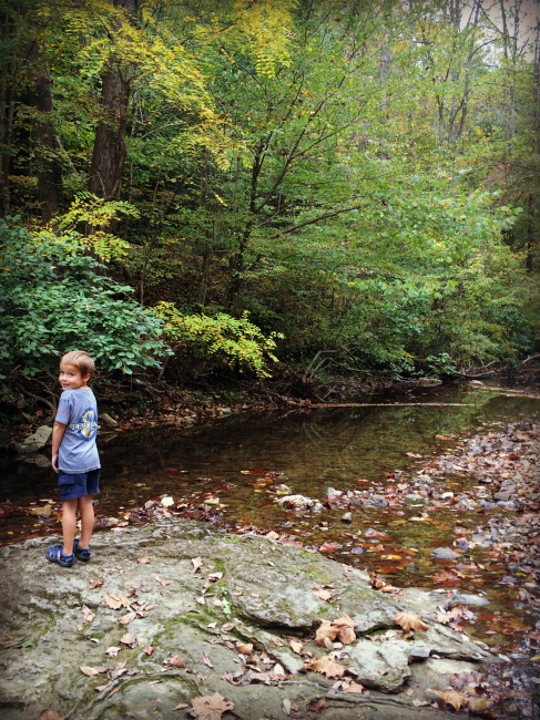 red-river-gorge-henry-in-the-creek