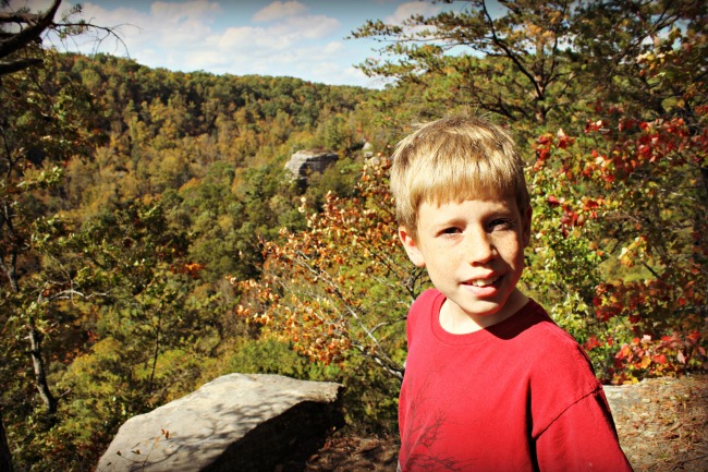 red-river-gorge-max-tarr-ridge-east