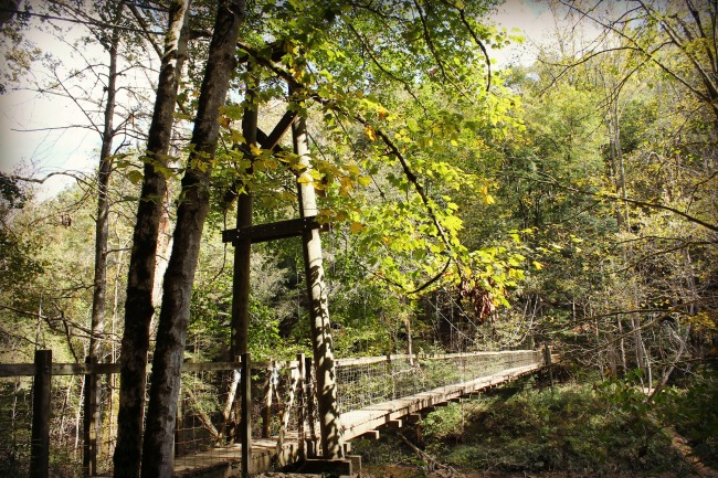 red-river-gorge-river-bridge