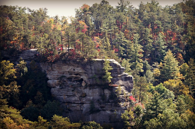 red-river-gorge-scenery