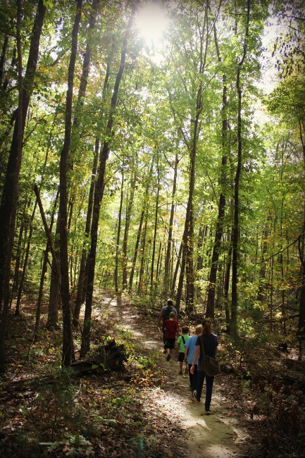 red-river-gorge-walk-in-woods