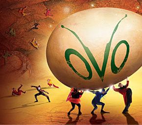 Cirque du Soleil presents OVO!